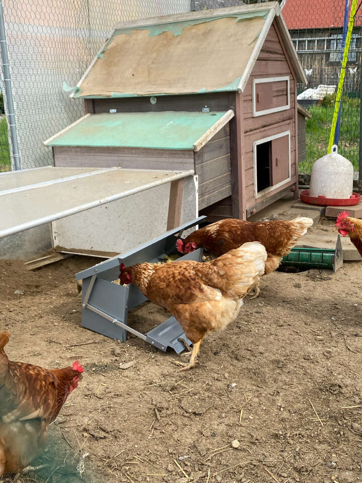 ZIPPER Futterautomat mit Trittbrett